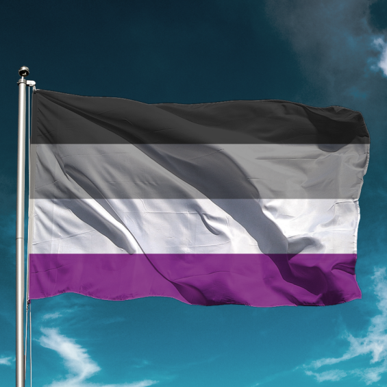 asexual-flag_800x800